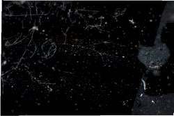 Mood of the Era Vol. 1