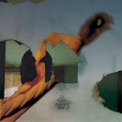 Is There Anybody Home?