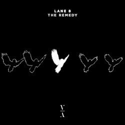 The Remedy (extended mix)