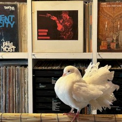 2025-08-12: NTS Radio