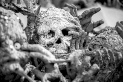 A Dead Man's Dream Is a Troubled Place to Be, Especially in the Intermediate Beyond; When a Dream Is in Doubt, Take a Chance and Turn Your Heart Around