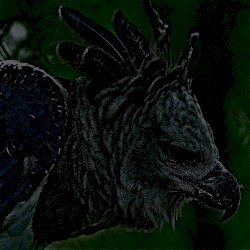 Neo Tropical Companion Hearts