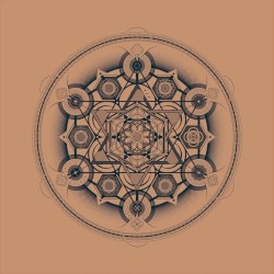 A Midsummer Nice Dream