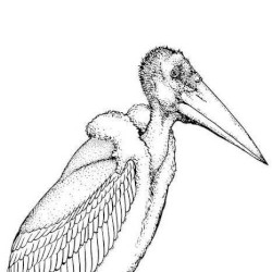 that sativa got me on my demon shit i feel bulletproof