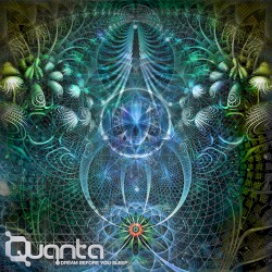 Dream Before You Sleep