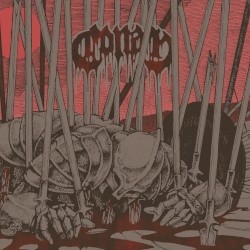 Evidence of Immortality