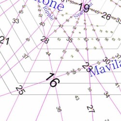 The Entertainer In 16edo