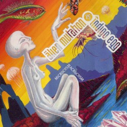 Microcosmacrocosm