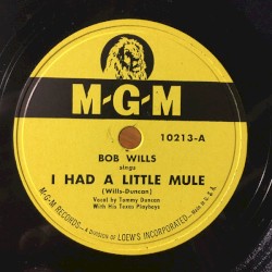 I Had a Little Mule / Blues for Dixie