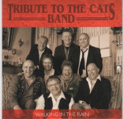 Walking in the Rain / I Walk Through the Fields