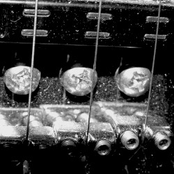 The Infinite Sea of Sustain