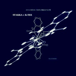 Titanium / Polarised