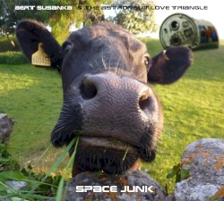 Space Junk