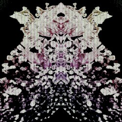 𝙁𝙡𝙤𝙖𝙩𝙚𝙧