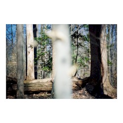 Seven Reorganisations