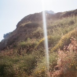 the trip we never took