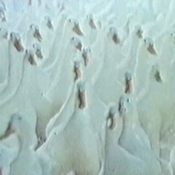 信号が壊れている