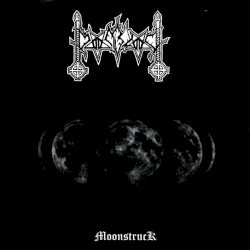 Nocturnal Silence in the Forest / MoonstrucK