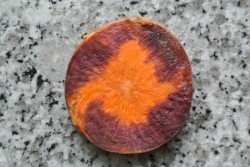 Studio Session August 2021