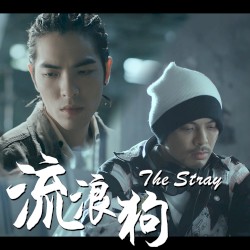 The Stray