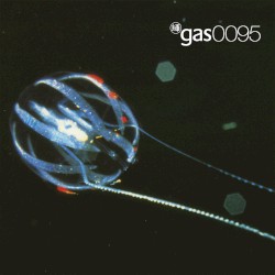 Gas 0095
