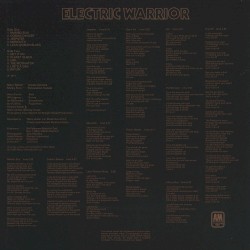 Electric Warrior