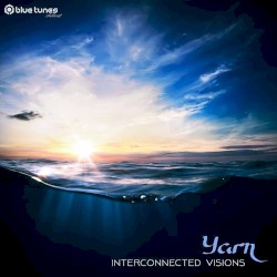 Interconnected Visions