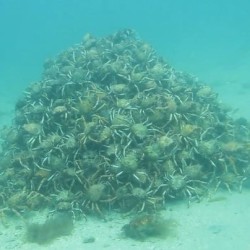 Hellraiser 2 (demo1)