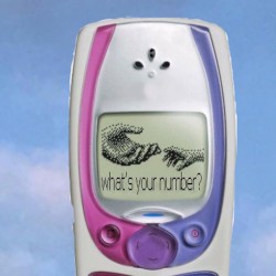 What’s Your Number