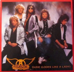 Dude (Looks Like a Lady)