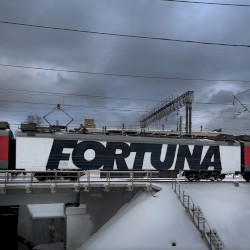 FORTUNA