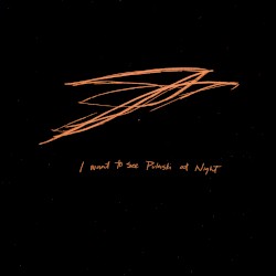 I Want to See Pulaski at Night