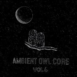 Ambient Owl Core vol. 4