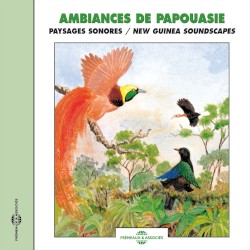 Ambiances de Papouasie / New Guinea Soundscapes