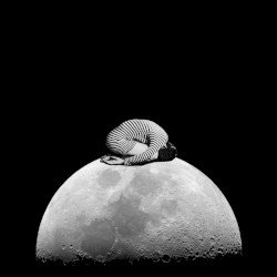 Songs for Disappearing