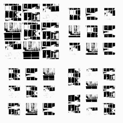 turtle line, turtle walk