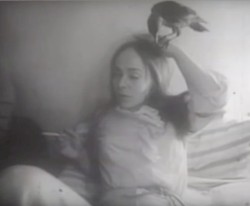 Process in Progress II: DUNZA in the Lion’s Den