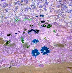 Messier 87