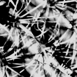 Twilight of Perception 4