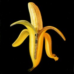 Welcome to the Monkey House