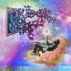 Conversations with a Butterfly