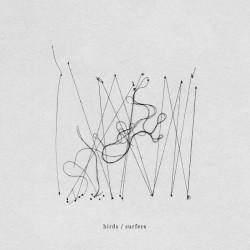 birds / surfers