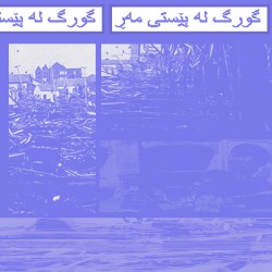 گورگ لە پێستی مەڕ