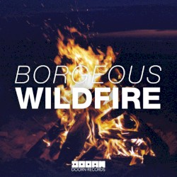 Wildfire