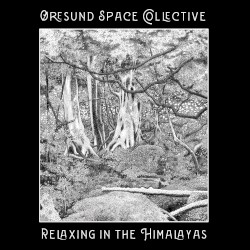 Relaxing in the Himalayas