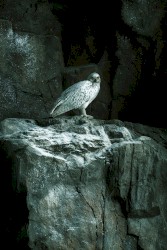 The Spectacular Illusion That Everything's Wrong