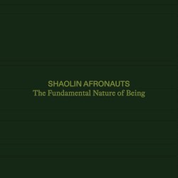 The Fundamental Nature of Being