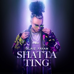 Shatta Ting