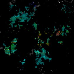 Experimentalist Three