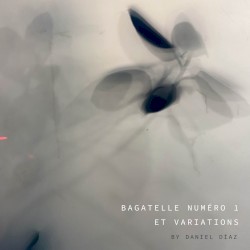 Bagatelle Numéro 1 Et Variations